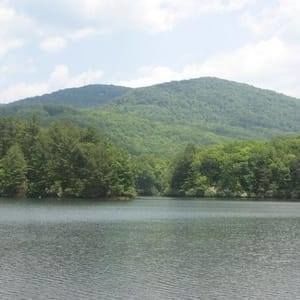 Meet your Posher, Antwon